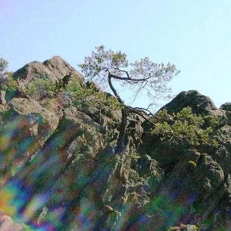 Mit Garten In Waldnaehe 別荘 Arnschwang