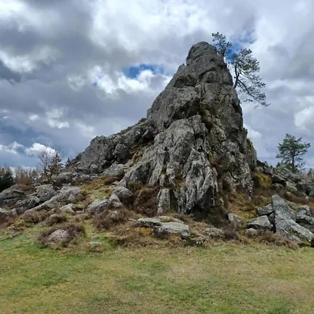 Mit Garten In Waldnaehe *