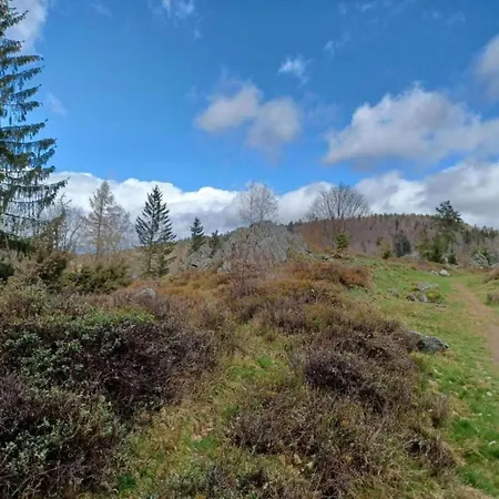 Mit Garten In Waldnaehe Сasa de vacaciones Arnschwang