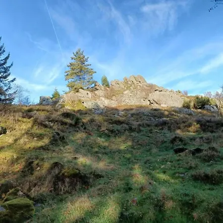 Mit Garten In Waldnaehe *