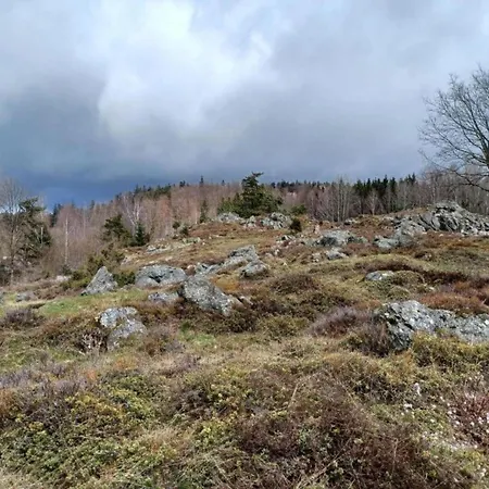 Сasa de vacaciones Mit Garten In Waldnaehe *
