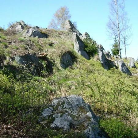 Mit Garten In Waldnaehe * Arnschwang