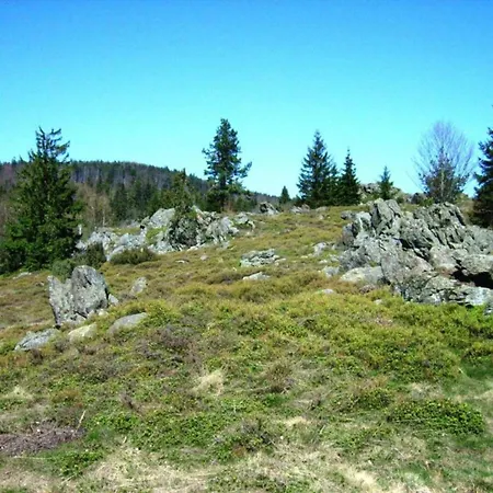 Сasa de vacaciones Mit Garten In Waldnaehe Arnschwang