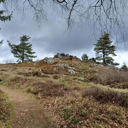 Mit Garten In Waldnaehe * Arnschwang