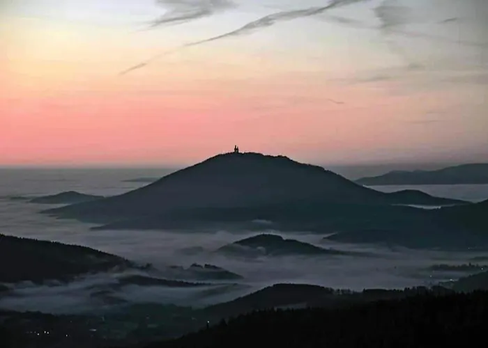 Mit Garten In Waldnaehe Arnschwang