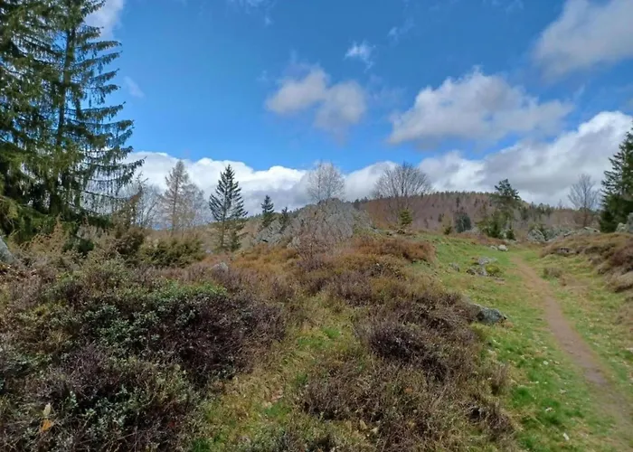 Mit Garten In Waldnaehe Hébergement de vacances Arnschwang