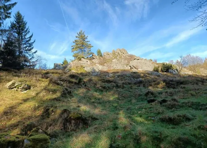 Mit Garten In Waldnaehe *