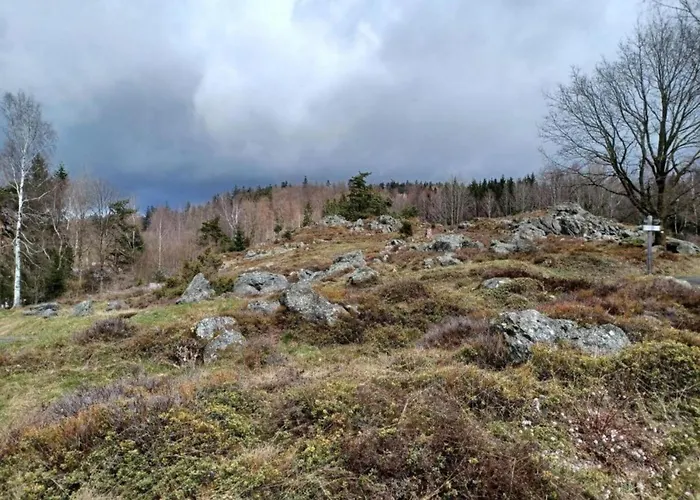 Hébergement de vacances Mit Garten In Waldnaehe *