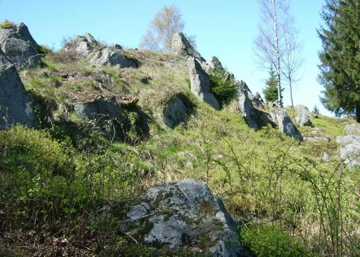 Mit Garten In Waldnaehe * Arnschwang