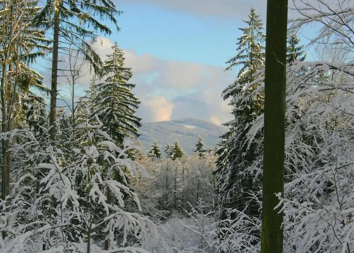 Mit Garten In Waldnaehe Casa de Férias