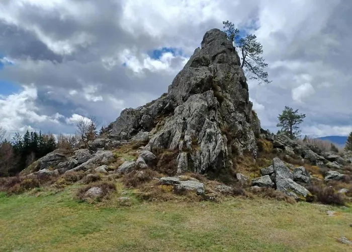 Mit Garten In Waldnaehe *