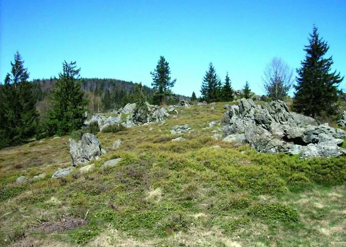 Hébergement de vacances Mit Garten In Waldnaehe Arnschwang