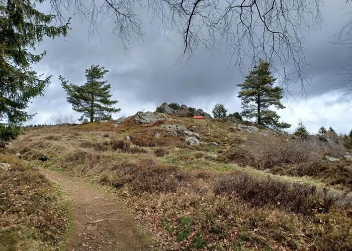 Mit Garten In Waldnaehe * Arnschwang